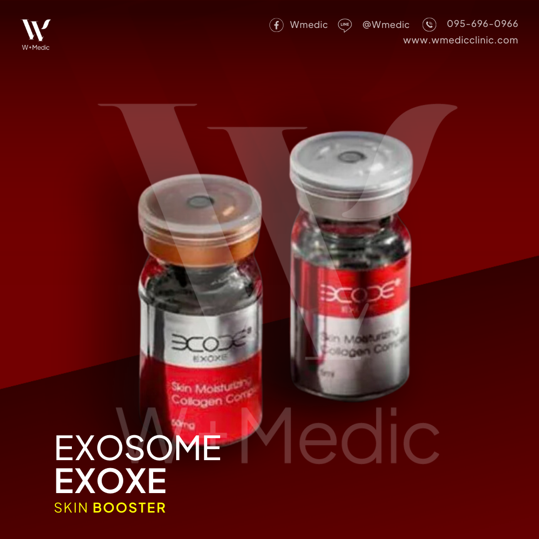 EXOSOME EXOXE