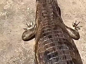 เลเซอร์รักแร้เนียน ได้ในราคาสุดพิเศษ