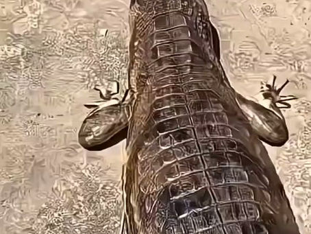 เลเซอร์รักแร้เนียน ได้ในราคาสุดพิเศษ