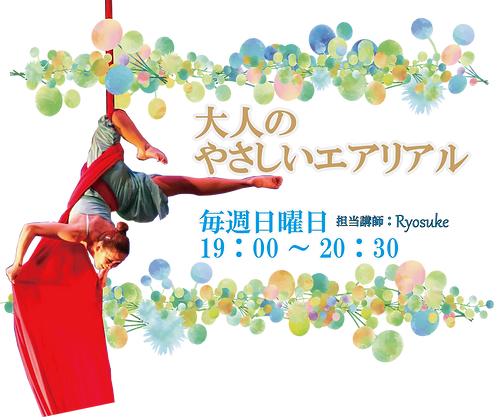 大人のやさしいエアリアル.png