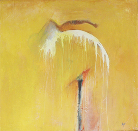 40 x 40 inches