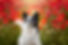 DSC01134-Edit-Edit.jpg