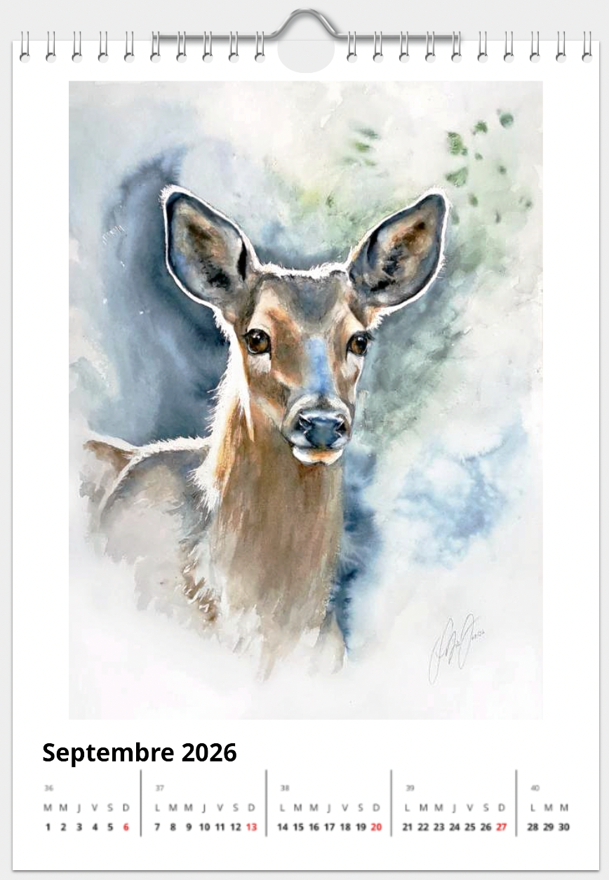 Miniature : Calendrier 2026 - "Faune sauvage française"