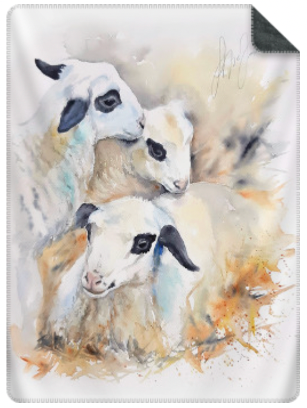 Plaid "Agneaux du Quercy", 2 tailles