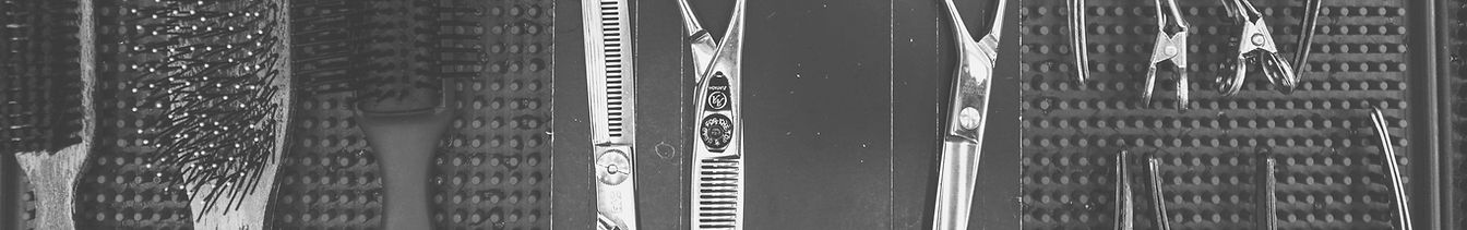 harrisburg hair school services