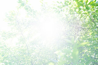 iStock-1327343844.jpg