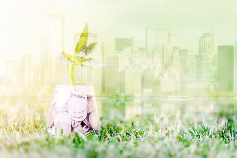 iStock-636344112.jpg