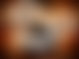 Fohow REM Cihaz Satışı ve Satın Alma Süreci