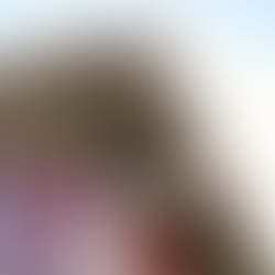 Metal vs Shingle Roofs for Backyard Structures: Which Is Better in 2025?