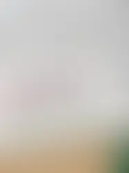 The Best Tools for Managing Team Passwords