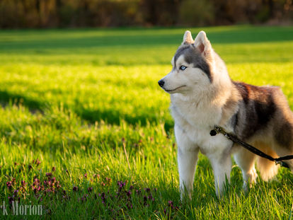 Éden CAC, avagy Plüss kirándulása a melegfrontba