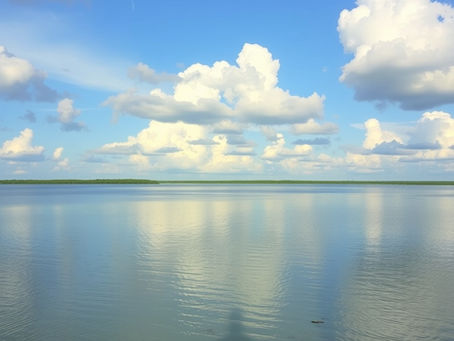 Bass Fishing Lake Toho: Lures, Locations, and Live Bait Tricks