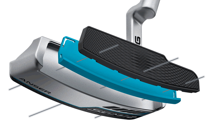 Ping TR Face technology