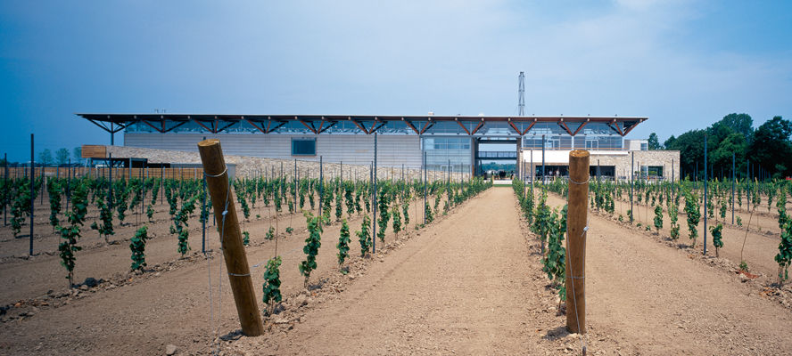Jackson-Triggs Winery and vineyards; Photo - Peter Sellar