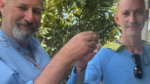 ALERT: The Great Tahiti Disappearance – Mike Takes to the South Pacific