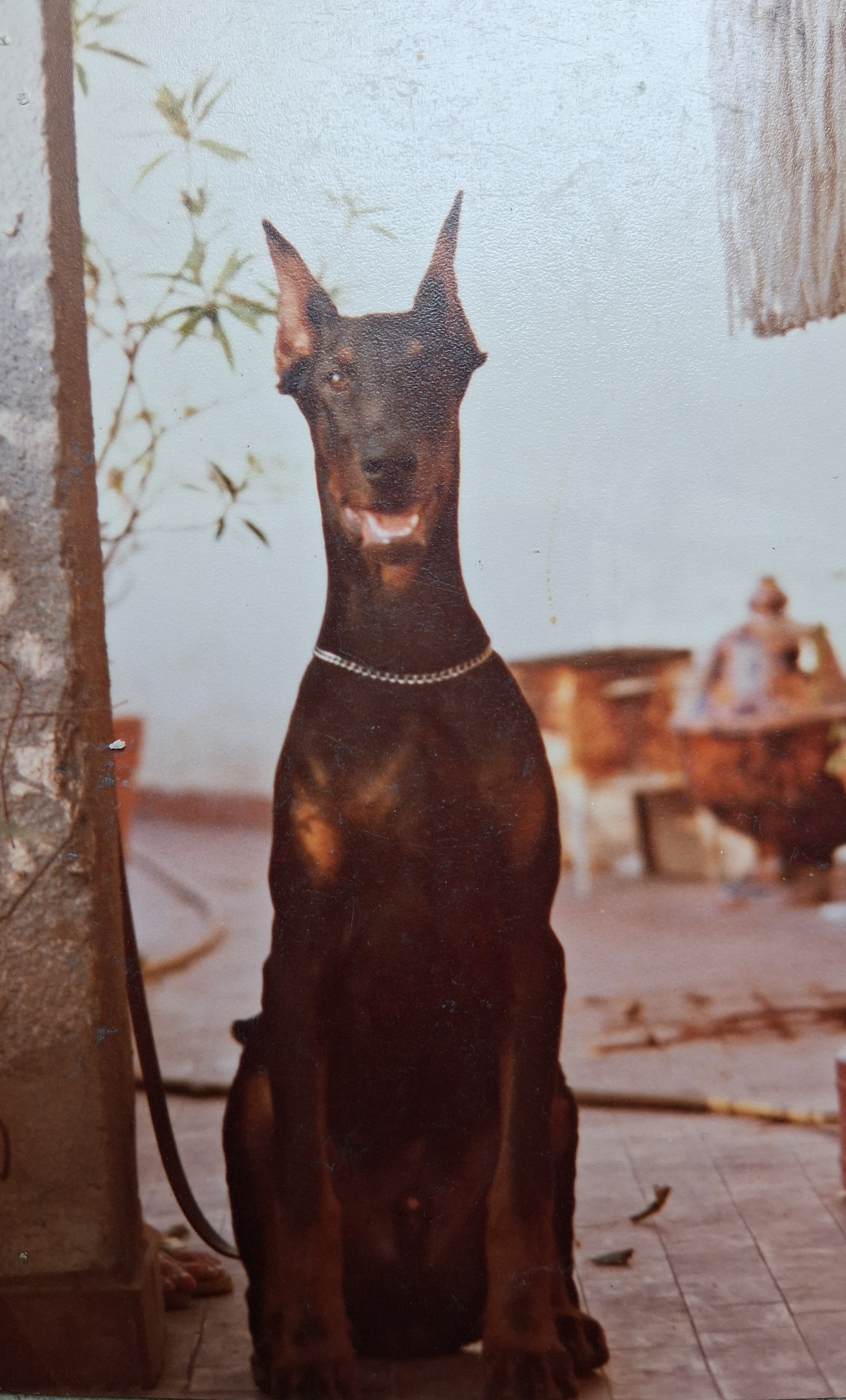 Euro del Littorio - CH