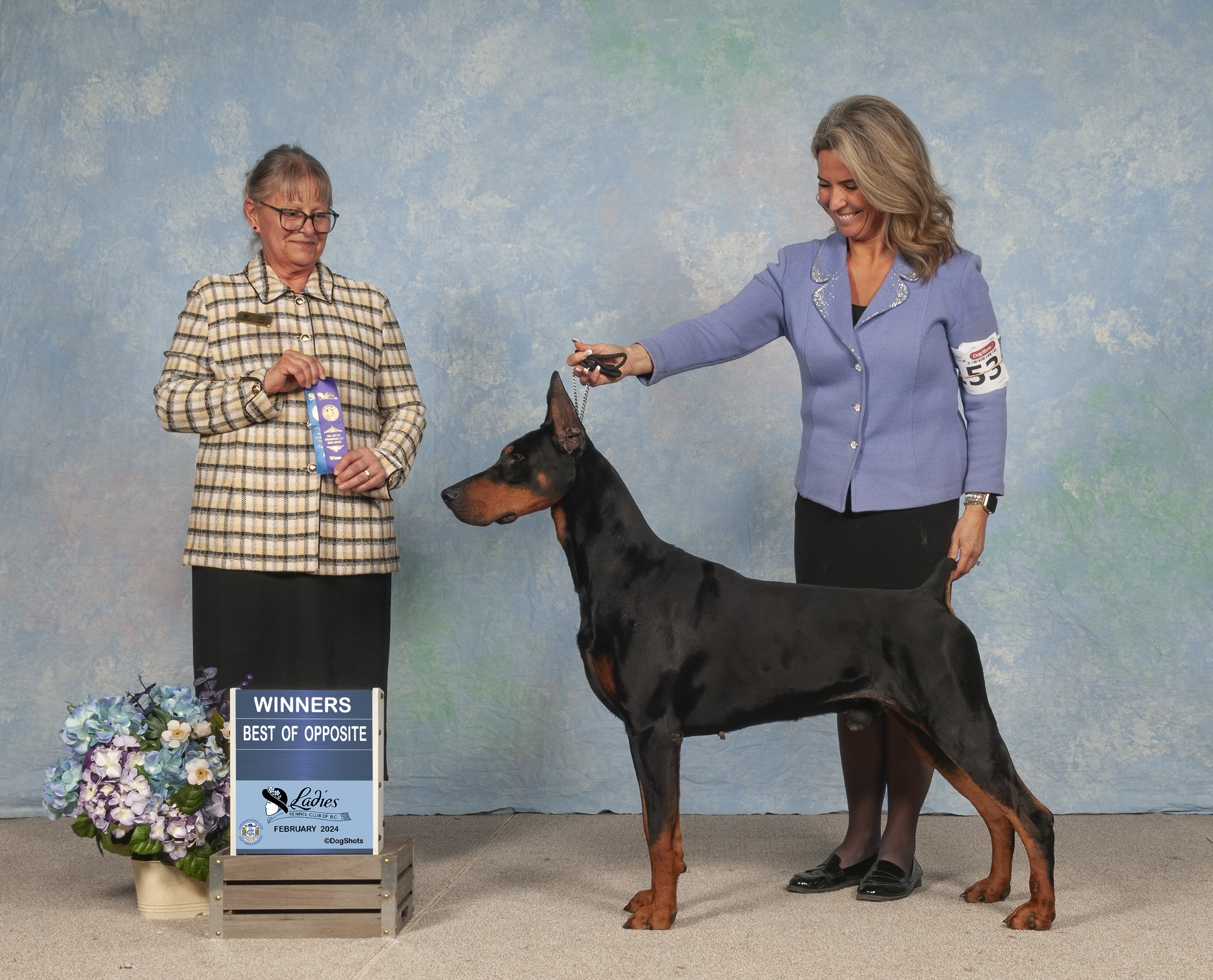 Am GCH Fargo Falco JR del Littorio - Winners & Best of Opposite in Canada