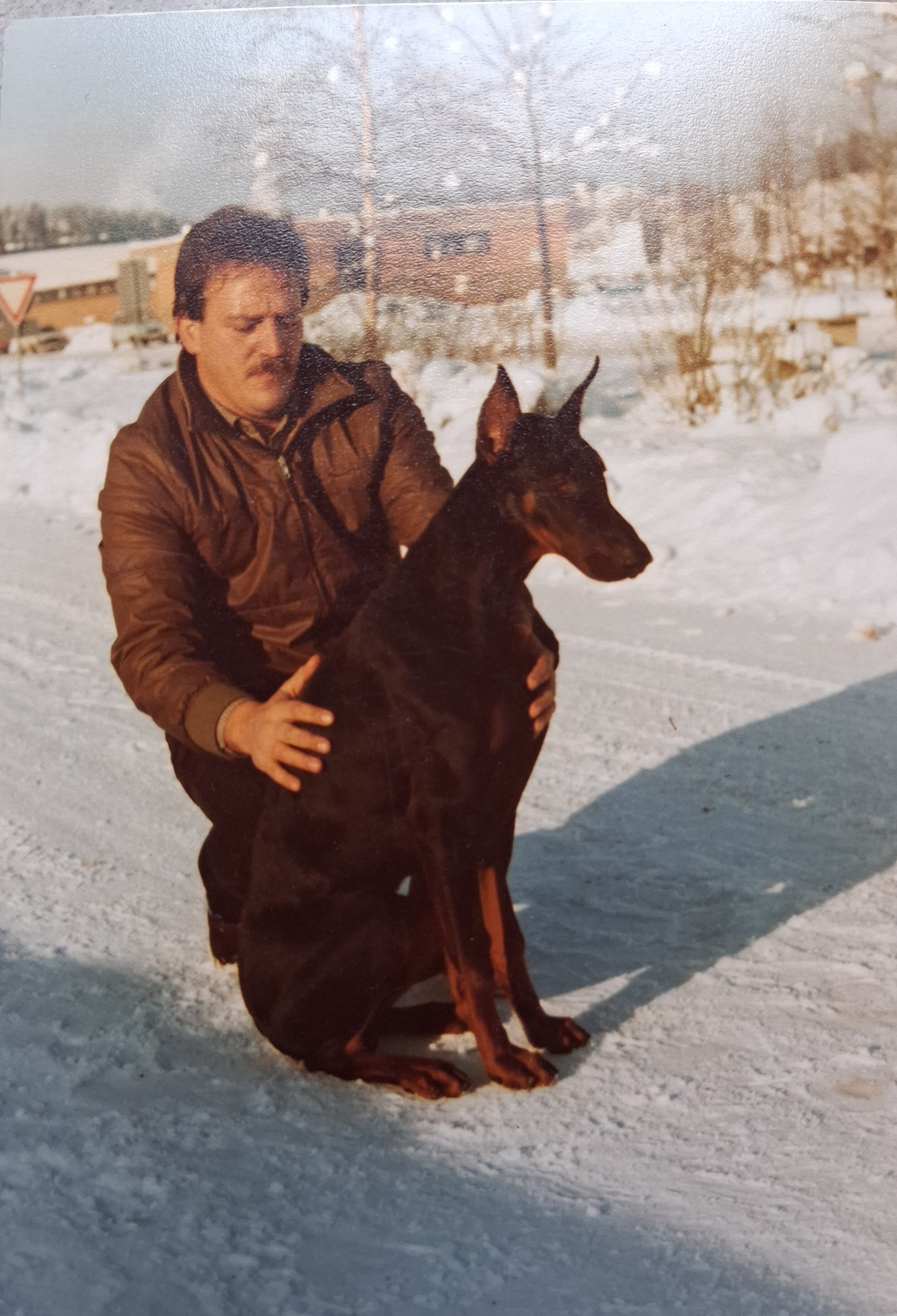 Laerte Luger del Littorio .jpg