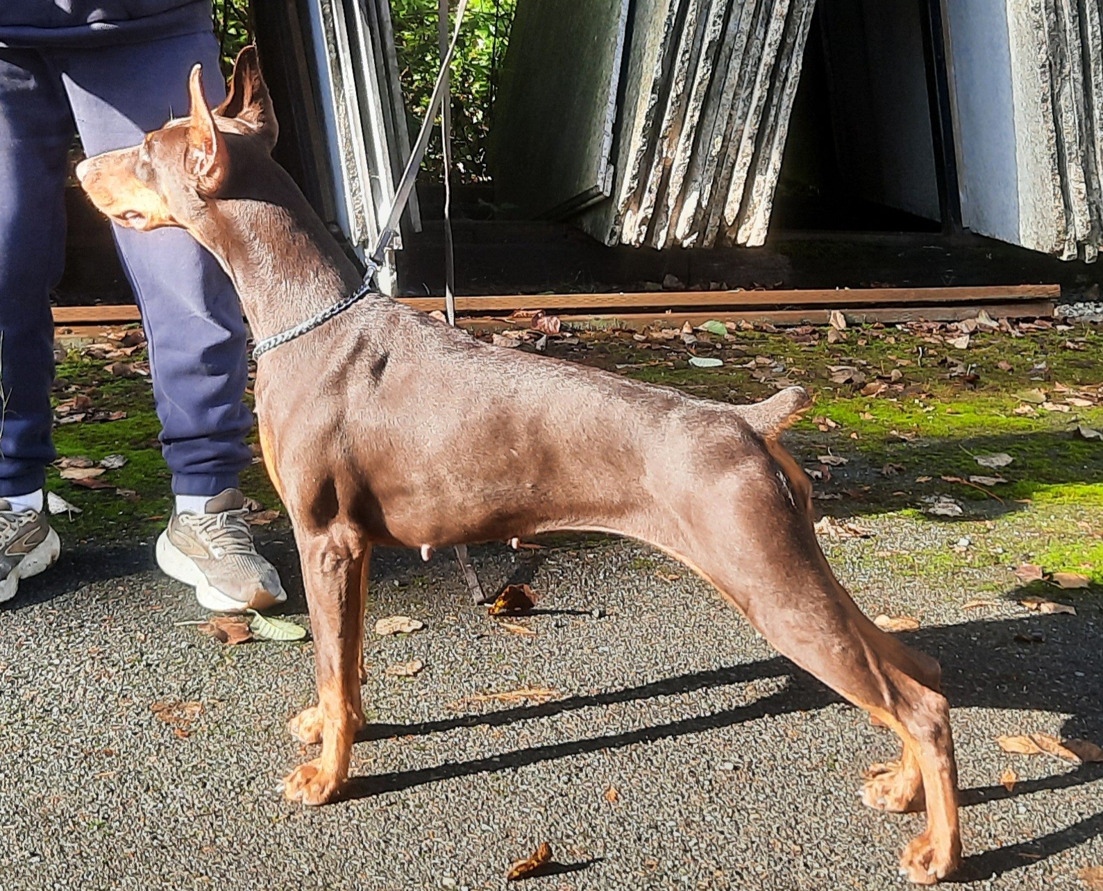 Fedelta` Fortitudo del Littorio - October 2025 A.jpg