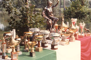 coppebandieraitaliana