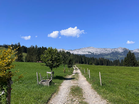Discovering Switzerland – Beyond the Postcards