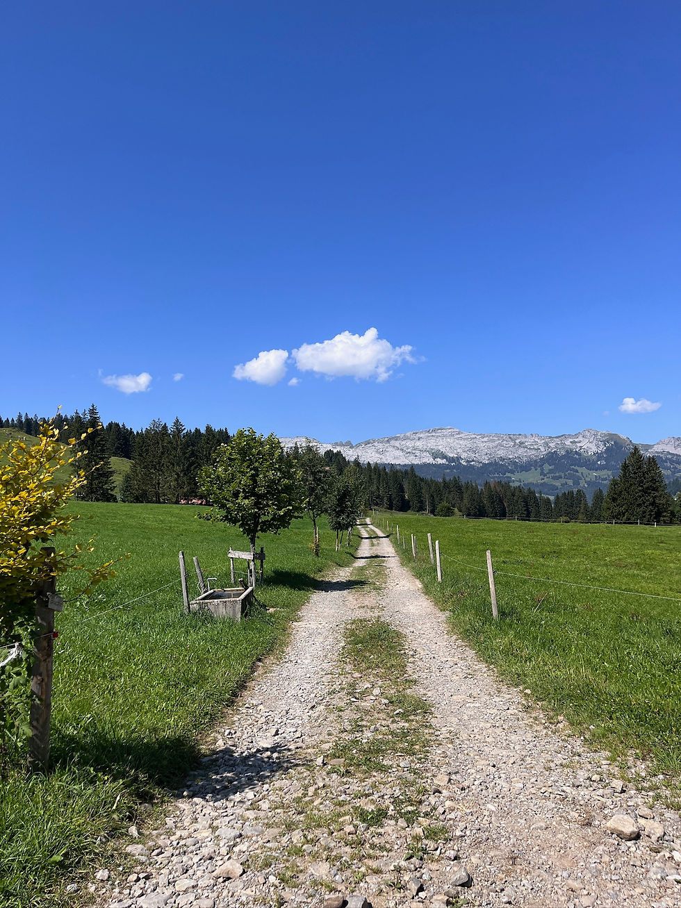 Serene nature in Soerenberg