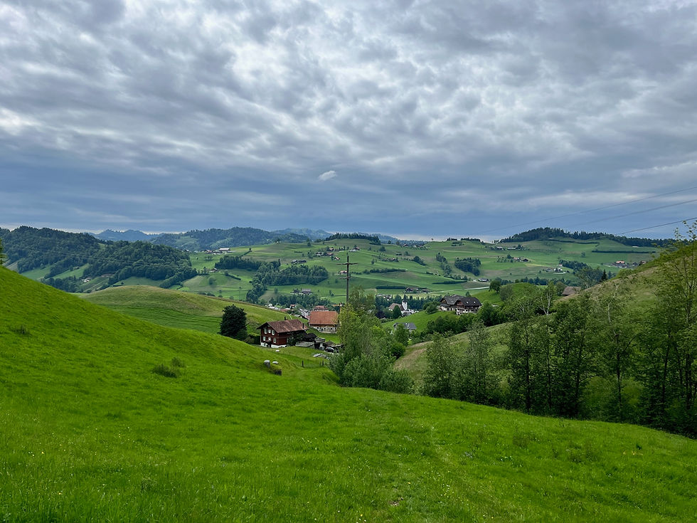 The best grounding happens on serene Swiss meadows