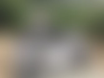 洋型濵崎家安田家