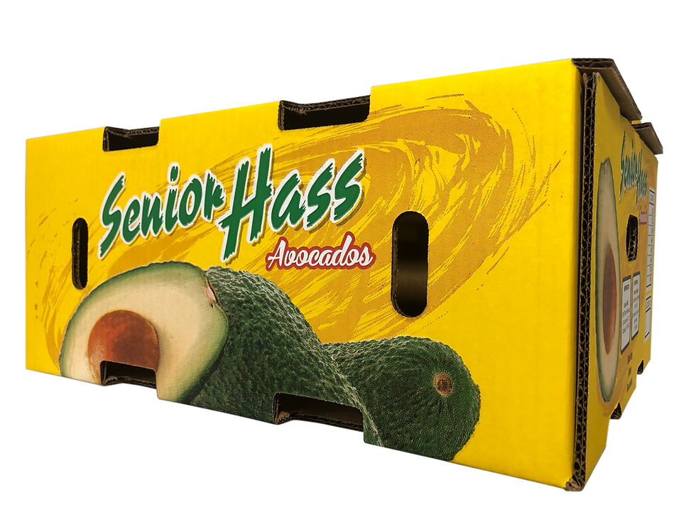 Senior Hass Avocados