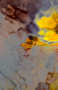 Ripple Effect