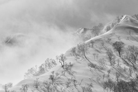 Cornices