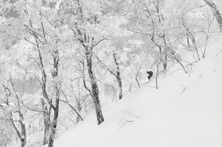 Narnia