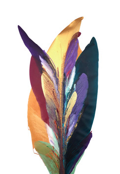 Gold Rio De Colores - 23