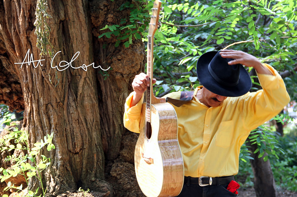 Avi Colon, Blues, Ladino, Latin Rock