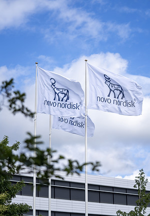 novo nordisk
