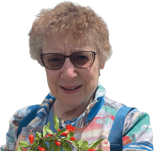 Cook_Author.png