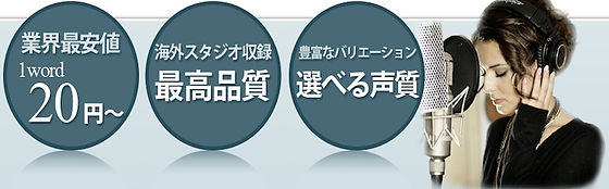 英語ナレーション 英語テープ起こし 英文校正のインターナレーション