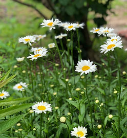 917 Pleasant Ridge Ave