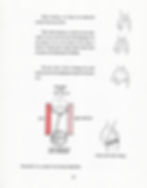 Extract of the Master Techniques_p29