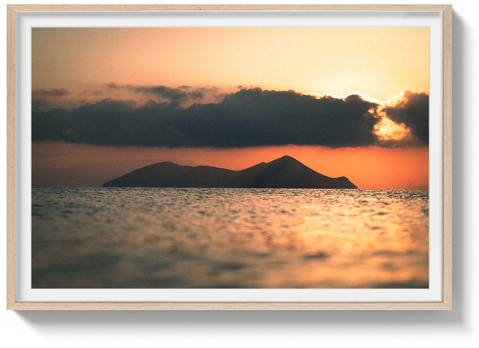 Exhibition landscape natural.jpg
