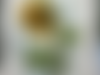 Silent auction at our upcoming event