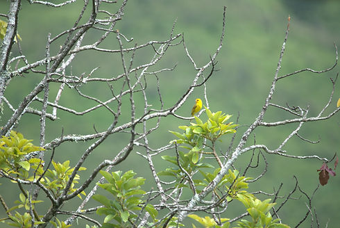 DSC00747.ARW