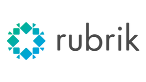 Rubrik: rapid growth