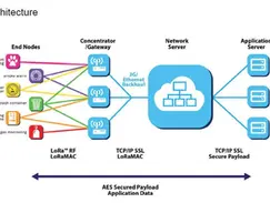 Choosing the Perfect LoRa Product for Your IoT Needs