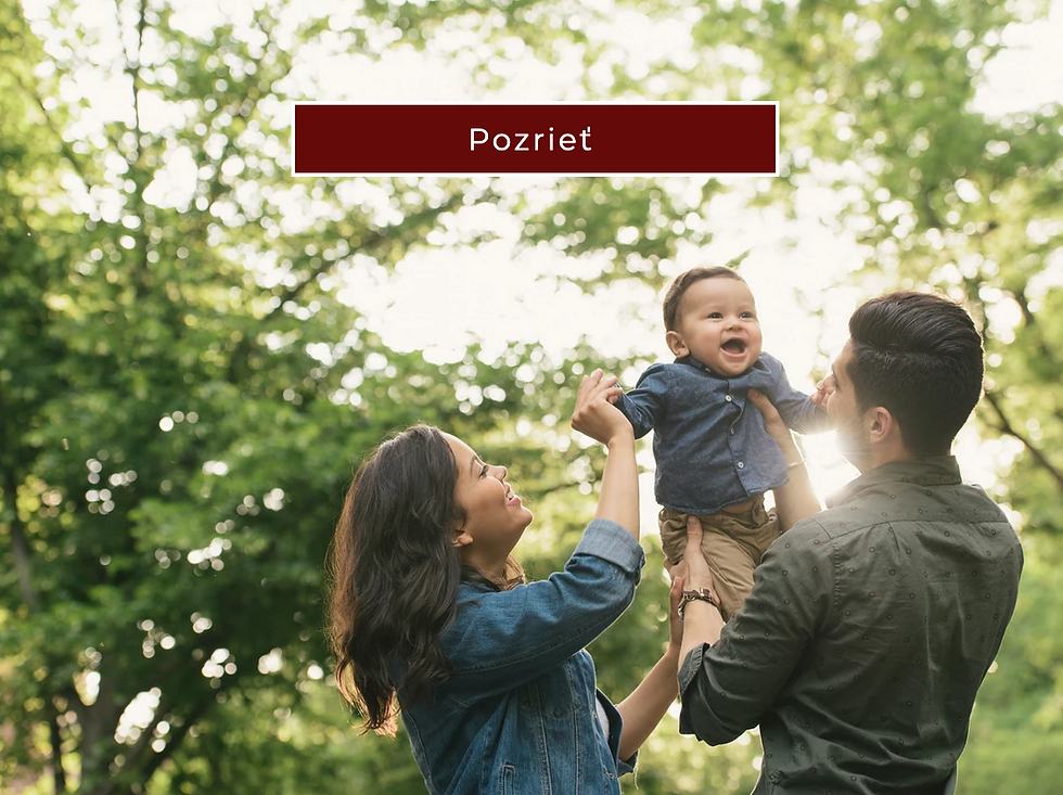 Zabezpečenie príjmu.