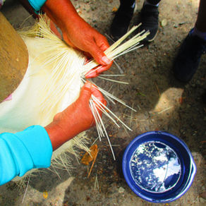 Through Ecudaor and back 