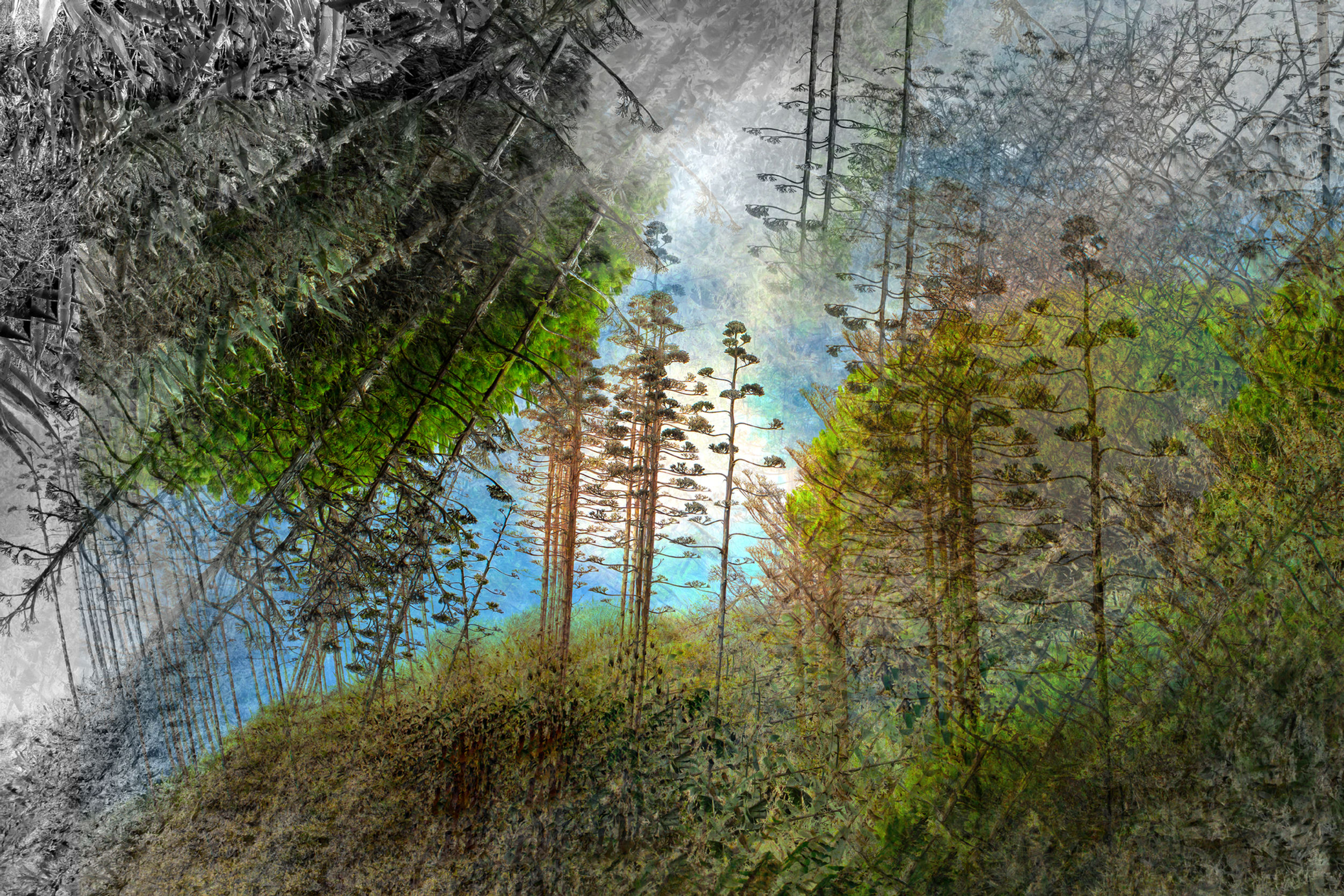 Abstrakte natur II