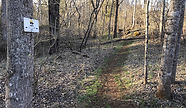 Trail.JPG