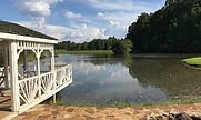 Pond2.JPG