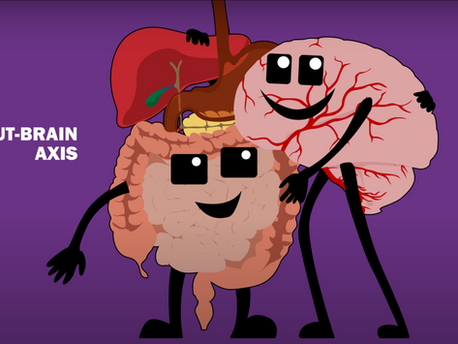 The Gut-Brain Axis 
